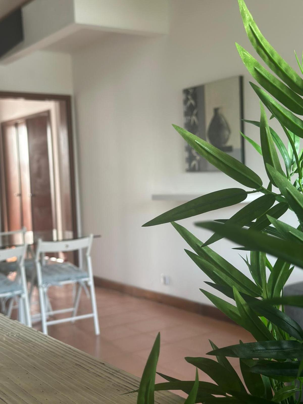Azores Pedra Apartments - T0 E T1 Ponta Delgada Esterno foto